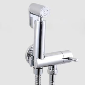 Contemporary Solid Brass Bidet Faucet Chrome Finish DS002 Contemporary Solid Brass Bidet Faucet Chrome Finish DS002